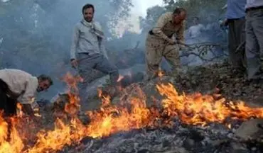  آتش سوزی پارک ملی گلستان مهار شد