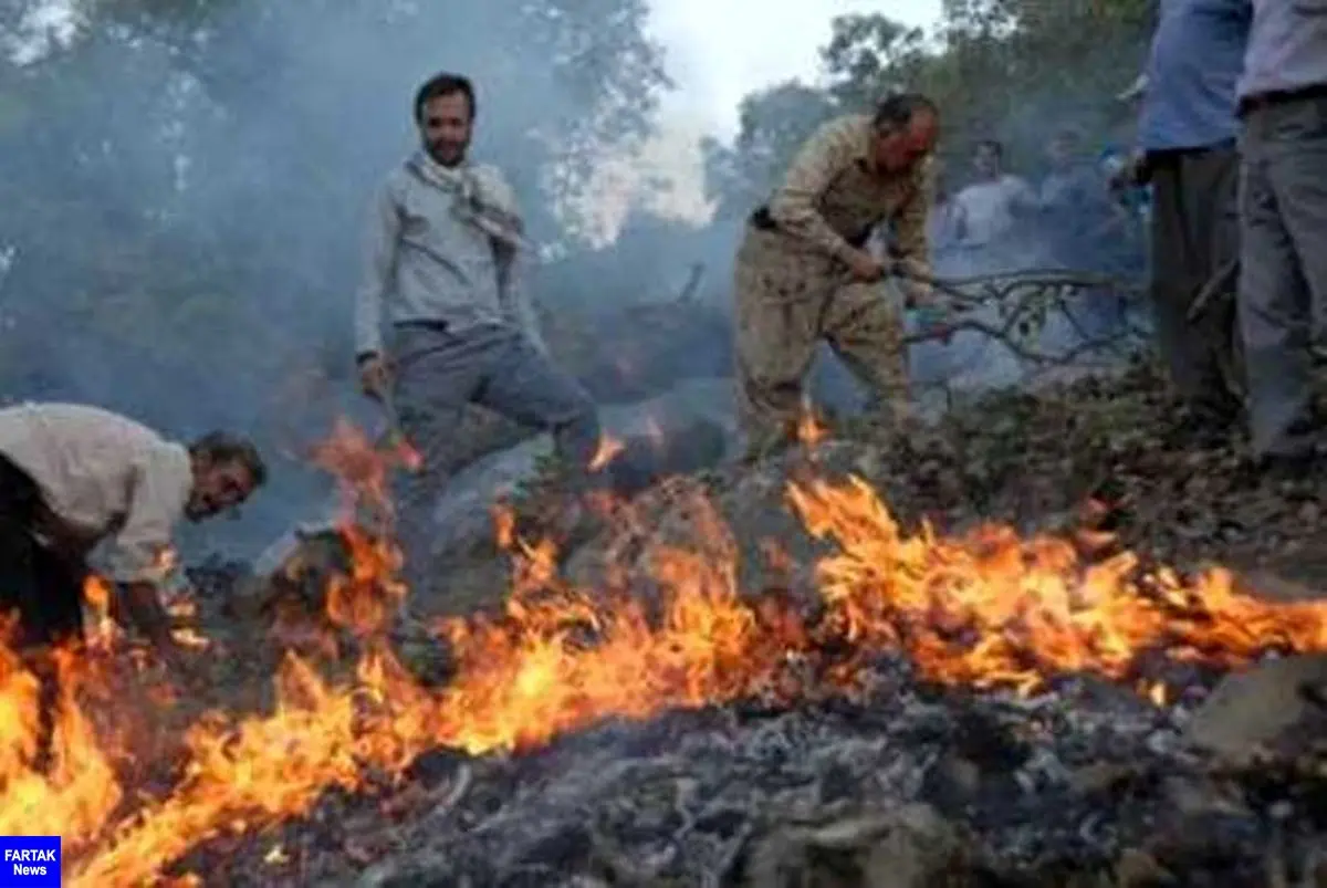  آتش سوزی پارک ملی گلستان مهار شد
