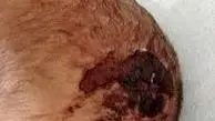 دستگیری خواننده رپ به خاطر قتل شوهر مادرش  + عکس