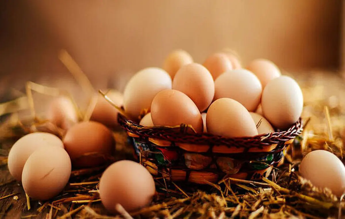 علت گرانی تخم مرغ چیست؟