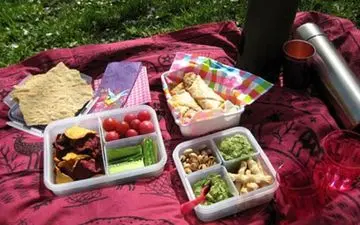 بهداشت خوراکی‌ها در سفر