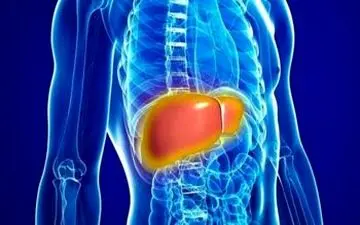 خوردن این غذاها عمر را کوتاه می کند