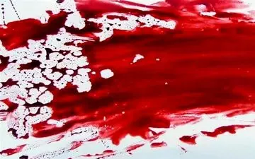 قتل و مثله‌ کردن جسد همسر در حمام خانه‌ به خاطر وسواس