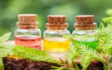 با ۷ روغن گیاهی آشنا شوید که به زیبایی هر چه بیشتر چهره و اندام کمک می کنند