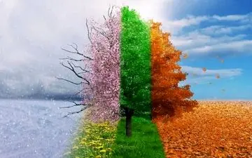 کشف عجیب درباره ارتباط نوسانات شدید آب و هوایی با سکته مغزی