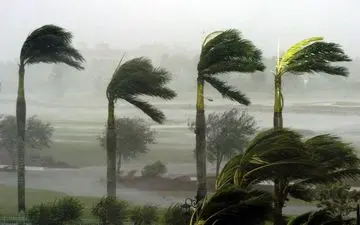 وزش باد شدید در پیش است/ هشدار به کوهنوردان و طبیعت گردان
