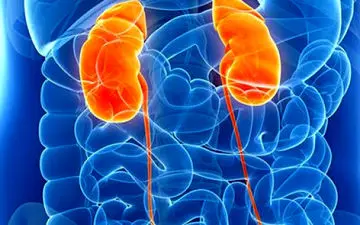 نارسایی کلیه با کرونا