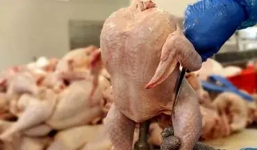 قیمت مرغ ۲۱ مرداد ۱۴۰۴ | نرخ روز ران، سینه و فیله مرغ