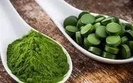 خطرات مصرف جلبک اسپیرولینا/ عوارض ناشناخته بر مادران باردار