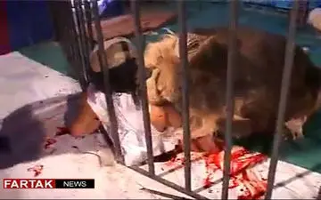 فاجعه در باغ وحش؛ دیدن این فیلم به افراد زیر 18 سال توصیه نمی شود+فیلم