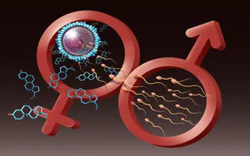 ارزیابی میزان باروری مردان در خانه 