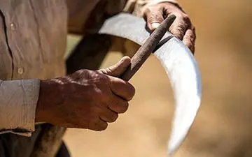  استانی که نوجوانانش در سن بلوغ سر خود را به داس می‌سپرند! +فیلم