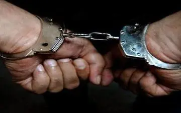 چهار سارق در ایلام شناسایی و دستگیر شدند