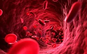 با مصرف این گوشت، فشارخون را مهار کنید و قلب را زنده نگه دارید