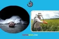  مرگ هولناک مرد کشاورز با میل گاردان تراکتور + جزییات 