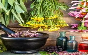  کلیه هایتان را با این گیاهان به طور طبیعی تقویت کنید