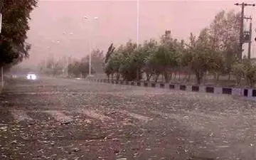 هشدار تندبادی هواشناسی و آمادگی شهرداری تهران در برابر حوادث احتمالی