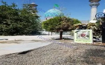 مزار بنیتا کوچولو+ عکس