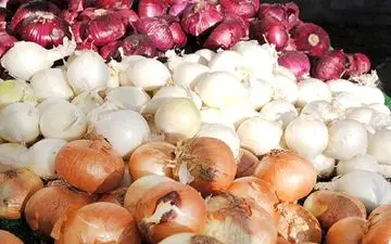 قیمت پیاز پرواز کرد! + عکس