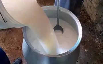 مراحل پخت غذای زمستانی ترخینه در نهاوند