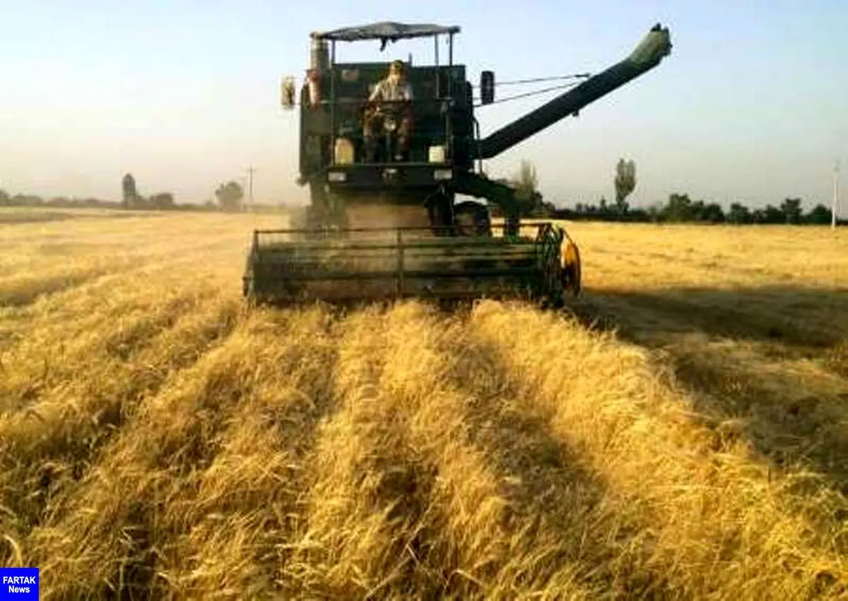 پیش‌بینی برداشت ۴۲۰ هزارتن گندم در لرستان
