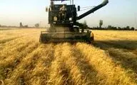 پیش‌بینی برداشت ۴۲۰ هزارتن گندم در لرستان
