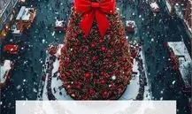 خاص‌ترین درخت‌های کریسمس ۲۰۲۶؛ جشن سال نو با شکوه‌تر شد