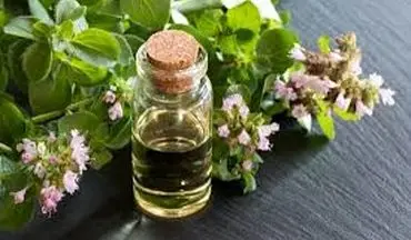  روغن پونه‌کوهی مناسب چه افرادی است؟