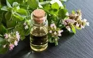  روغن پونه‌کوهی مناسب چه افرادی است؟
