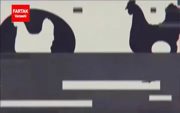 پایان تلخ مالکان ثروتمند + فیلم