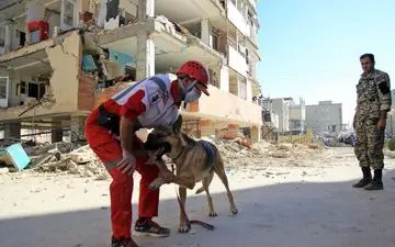 عکسی احساسی از تشکر نیروی هلال احمر از سگ زنده‌یاب در سرپل ذهاب/عکس