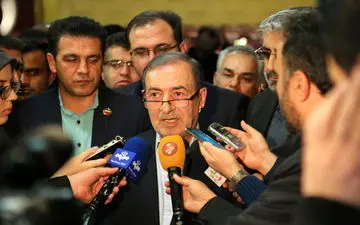 نظارت استصوابی خطری برای خانواده شوراهاست