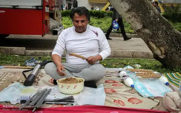 روزطبیعت در تهران + تصاویر