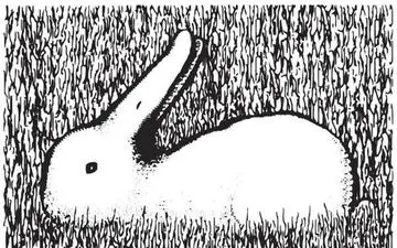 خطاهای دید عجیب و باورنکردنی !!