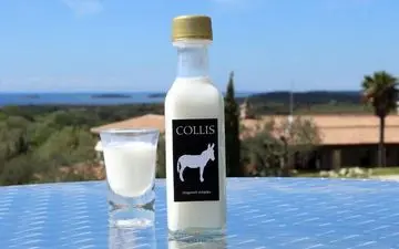 خواص شیر الاغ برای سلامت بدن و جوانی و شادابی پوست با زبانی ساده و علمی