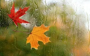 باران شدید پس از هوای آفتابی در گیلان