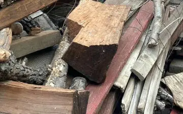 اگر تونستی گربه رو در تصویر پیدا کنی میدونم خیلی تیز بینی