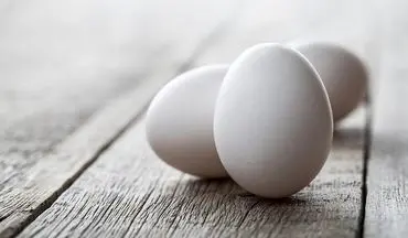  رد یک باور اشتباه درباره مصرف تخم مرغ