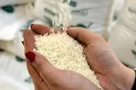  قیمت رسمی برنج ایرانی اعلام شد (۳۱ فروردین ۱۴۰۴) 