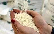  قیمت رسمی برنج ایرانی اعلام شد (۳۱ فروردین ۱۴۰۴) 