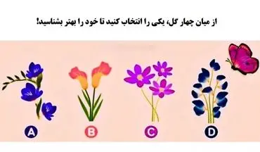 تست شخصیت شناسی| از میان چهار گل، یکی را انتخاب کنید