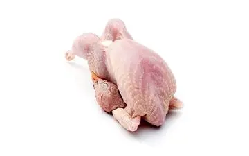 گوشت کبک چه خواصی دارد؟