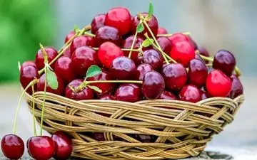  این میوه را حتما شب ها بخورید