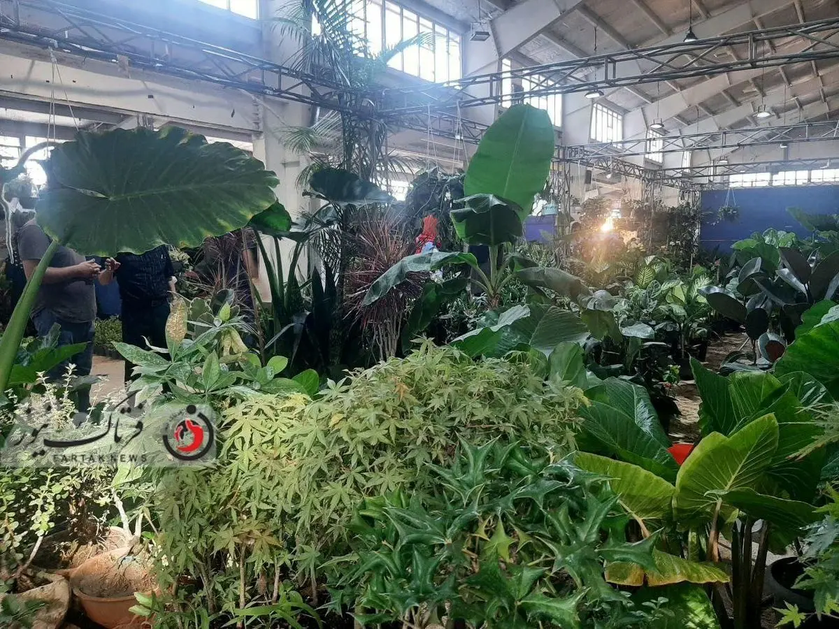  برگزاری نمایشگاه گل‌و گیاه در پارک شاهد کرمانشاه


