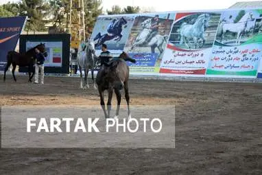  چهارمین جشنواره ملی زیبایی‌های اسب (تاق‌بستان)  جشنواره اسب اصیل کُرد