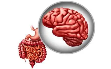 تاثیر یک باکتری روده در پیشگیری از پارکینسون

