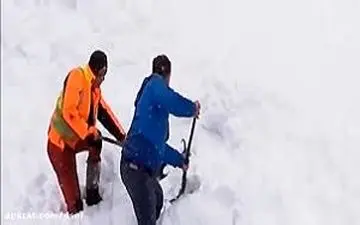 لحظه نجات یک بز از دل برف + فیلم