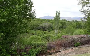 خانه باغ‌های دلفریب و زبیا و پارک دیدنی معلم صحنه به روایت تصویری