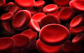 این نوع سبزی علاج کم خونی شماست 