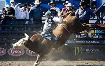 درگیری گاوبازها با یکدیگر حین گاوبازی